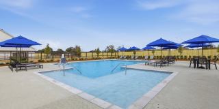 Springwood Townhomes Gallery 34