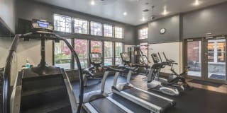 LionsGate North Gallery 21