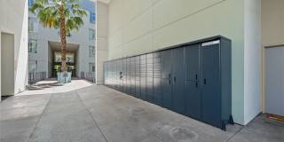 Sunset and Vine Sunset and Vine Gallery 32