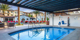 Vineyards Gallery 29