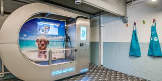 The District in Little Elm Gallery 16