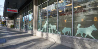 Mark on 8th Gallery 26