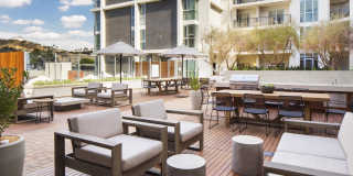 The Fifty Five Fifty Gallery 5