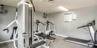 Skyline View Gallery 2