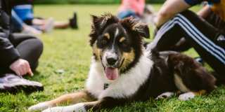 Verdant at Green Valley - Affordable Housing Gallery 16