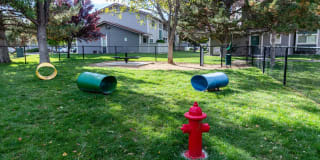 The Verge Gallery 31