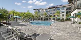 Indigo Stuart Gallery 2