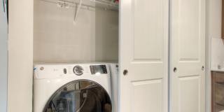 Alder Walk Gallery 24