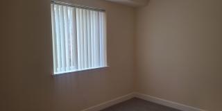 Northgate Gallery 229