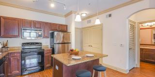 The Village at Lake Lily Gallery 58