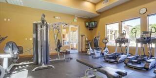LOF-Vantage Pointe Gallery 17
