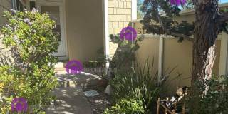 1412 Kinross Court Gallery 3