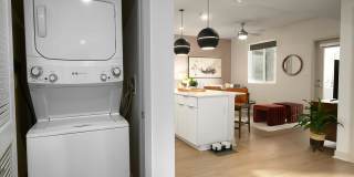 Millennium Apartments Gallery 41