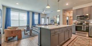 The Carter Gallery 1