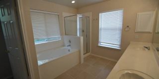 956 PERSIAN GDN Gallery 9