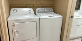 roman plaza Gallery 7