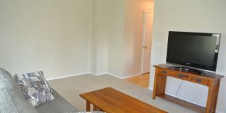 Boulder Townhome 3 bed, 2.5 bath Gallery 12
