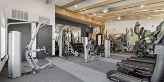 Bandera Ridge Gallery 60