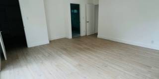 482 Hamel Gallery 19