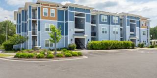 Hawthorne at Pine Forest Gallery 60