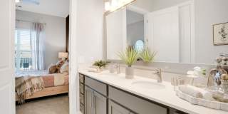 The Aster Gallery 55