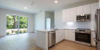 The Basin Gallery 42