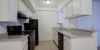 Paloma Village Gallery 2