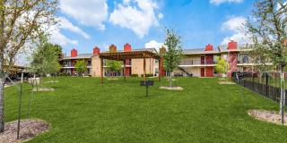 North Star Gallery 14