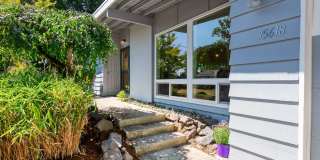 Newly Remodeled 3 Bed 1 Bath Rambler in Bellevue Newly Remodeled 3 Bed 1 Bath Rambler in Bellevue Gallery 4