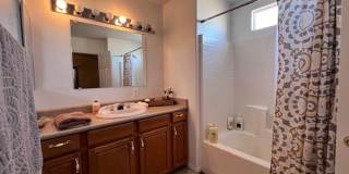 3 Br 2Ba House with Garage and fenced yard**FURNISHED** Gallery 27