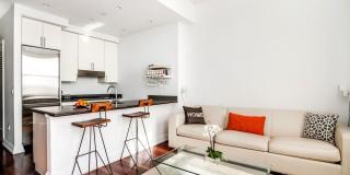 1 Hanson Place Gallery 2