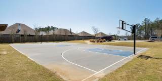 31399 Spoonbill Road Gallery 44