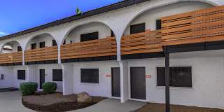 Aster on University Gallery 27