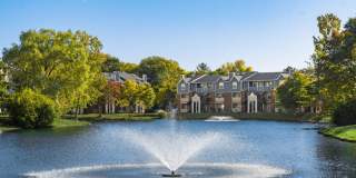 TGM Meadow View Gallery 55