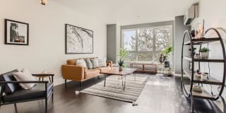 Linc245 Linc245 Gallery 1