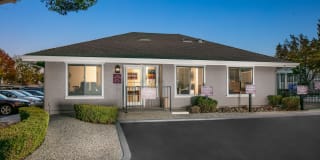 The Sycamores Apartments Gallery 19