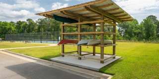 Hawthorne at Pine Forest Gallery 38