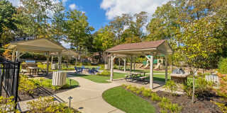 Seven Pines Gallery 8