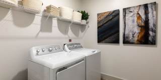 Eightyone10 Blue Goose Gallery 13