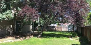 4271 Pennfield | Unique 2k Sq. Ft. Home on Corner Lot, Skylights, Vaulted Ceilings, Giant Backyard! Gallery 27