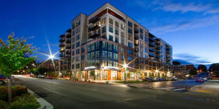 The Stadium Apartments The Stadium Apartments Gallery 1