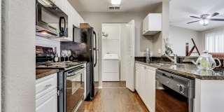 Vista Lake Ned Gallery 50