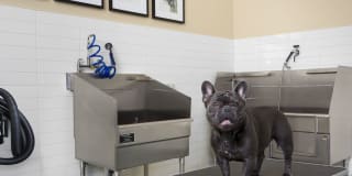 Avalon Huntington Beach Gallery 28