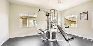 Diamond Vista Gallery 11