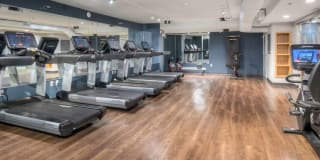 AVA Van Ness Gallery 17