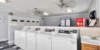 North Mountain Gallery 10