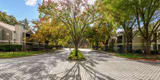 Harbor Oaks Apartment Homes Gallery 1