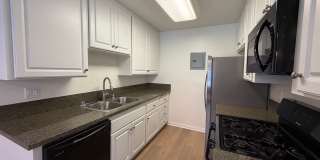 Tierra Palms Gallery 1