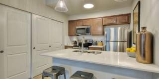 Alder Walk Gallery 18