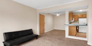 Large 3 Bedroom Apartments PET FRIENDLY! Gallery 11